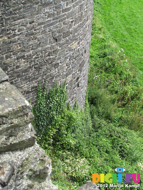 SX23475 Conwy medieval wall